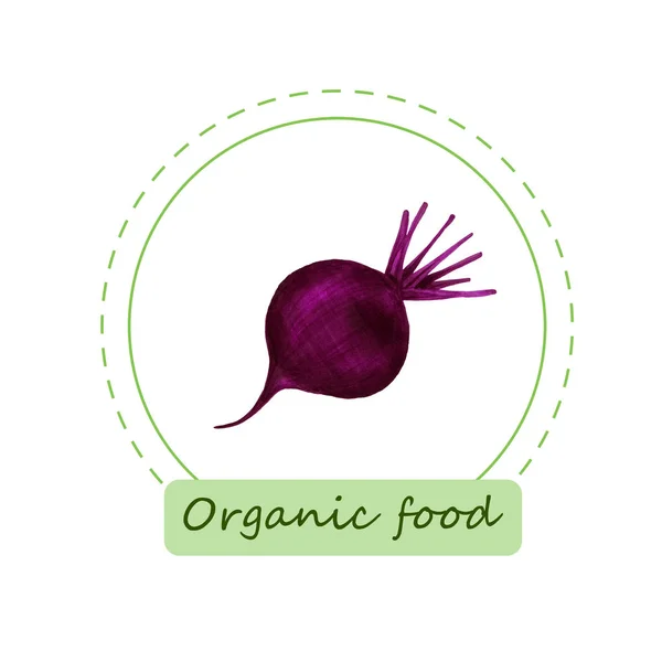 Organic food labels. Hand drawn bio beet. Design for menu, natural food stores, packaging and advertising. Poster with frame and borders decoration. Eco shop farm product. Healthy food. — Stock Photo, Image