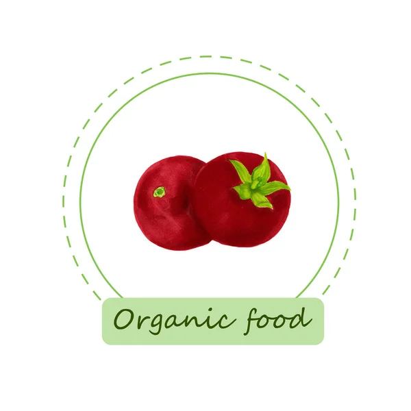 Märkning av ekologiska livsmedel. Handritad bio-tomat. Design för meny, naturliga livsmedelsbutiker, förpackning och reklam. Affisch med ram och gränser dekoration. Ekobutiksprodukter. Hälsosam mat. — Stockfoto