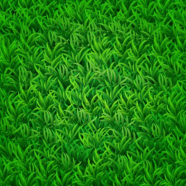 Yeşil çimenlik yakın plan. Tasarımınız için soyut çevre arkaplanı.