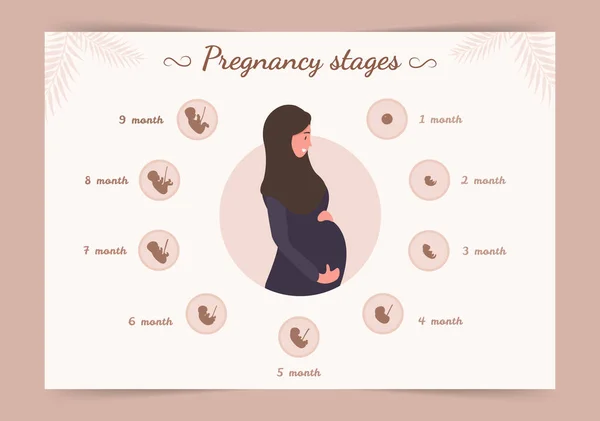 Infografik der Schwangerschaftsstadien. Silhouette einer arabischen Frau im Hijab. Vektorillustration im flachen Stil. — Stockvektor