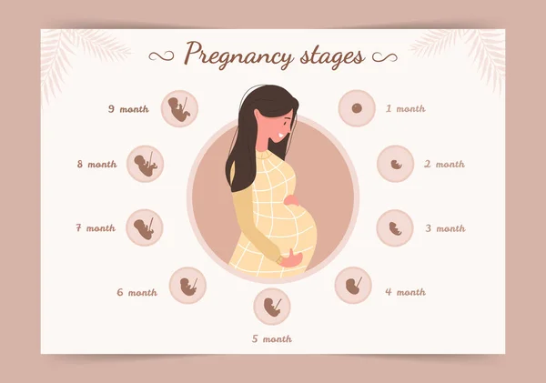 Infografía de las etapas del embarazo. Silueta de joven embarazada. Ilustración vectorial en estilo plano . — Archivo Imágenes Vectoriales