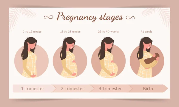 Infografía de las etapas del embarazo. Silueta de joven embarazada. Ilustración vectorial en estilo plano . — Vector de stock