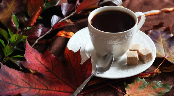 En kopp kaffe på bakgrunden av hösten lämnar. — Stockfoto