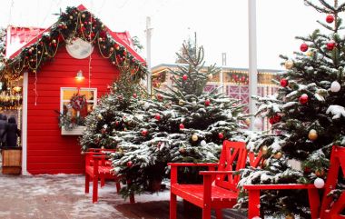 Güzel Noel ağaçları ve bir yeni yıl tarzda dekore edilmiş olan küçük şirin bir ev dekore edilmiş.