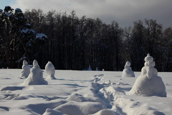 Karla Kaplı Glade Park Üzerinde Kar Kardan Adam Görünümünü — Stok fotoğraf