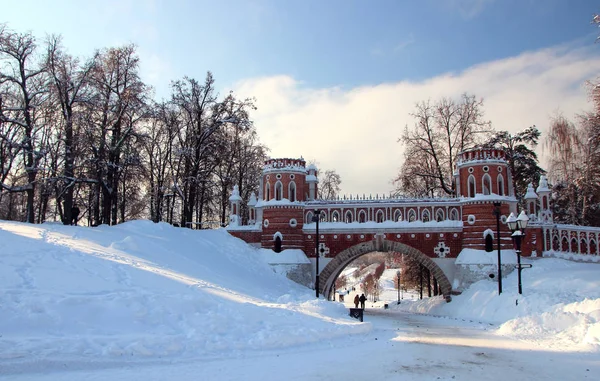 Prachtig Uitzicht Brug Van Een Baksteen Een Winter Park — Stockfoto