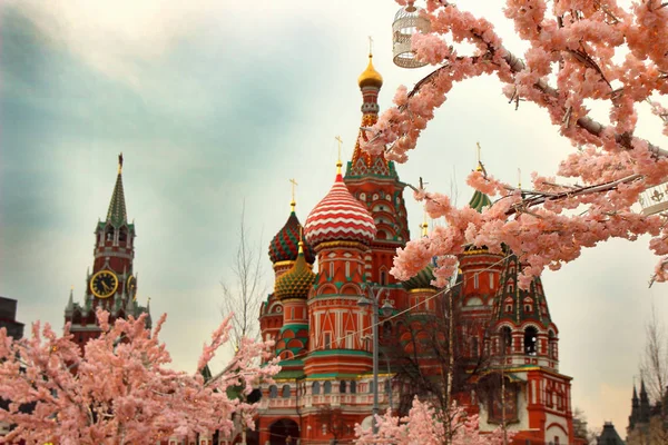 10 Nisan 2018, Moskova, Rusya, katedral çiçekli ağaç fonunda St Basil's görünüm.