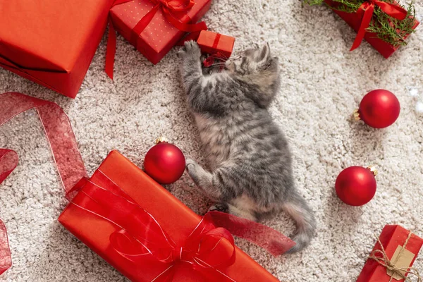 Christmas cat play with red gift boxes and balls. Beautiful little tabby kitten, kitty, cat near Christmas gift boxes, decorations, chrismas balls at home. Christmas animal, pet. Cozy home. Flat lay. — Stock Photo, Image