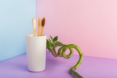 Camda doğal bambu diş fırçaları ve pembe arka planda bambu bitkileri. Biyo-çözünebilir doğal bambu diş fırçası. Çevre dostu Sıfır Atık Diş Bakımı, Plastiksiz konsept. Metin için alanı kopyala