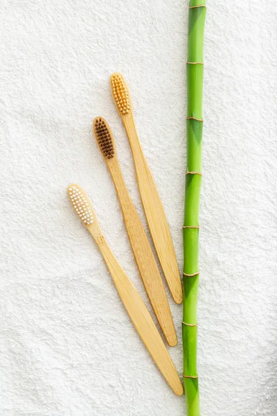 Bamboo toothbrushes, bamboo plant on white towel background.Flat lay copy space. Natural bath products.Biodegradable natural bamboo toothbrush.Eco friendly,Zero waste,Dental care Plastic free concept — Stock Photo, Image