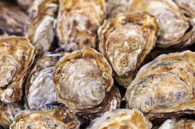 Çiğ ve çiğ istiridyeler balık pazarında satılıyor. Deniz ürünleri, kabuklu deniz ürünleri pazarı. Foor arkaplan olarak stok fotoğraf istiridyeleri