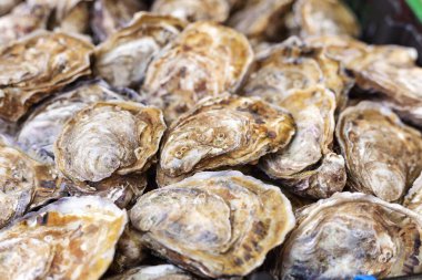 Çiğ ve çiğ istiridyeler balık pazarında satılıyor. Deniz ürünleri, kabuklu deniz ürünleri pazarı. Foor arkaplan olarak stok fotoğraf istiridyeleri