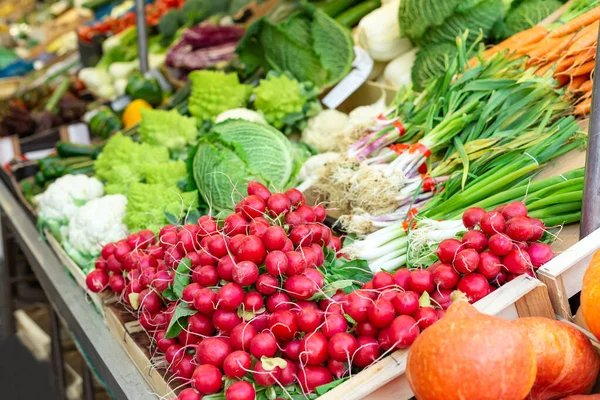 Sayuran mentah organik segar yang belum dimasak untuk dijual di pasar petani. Lobak, cengkih, kubis di pasar, foto saham. Makanan vegetarian dan konsep nutrisi yang sehat. Berbagai jenis sayuran di pasar . — Stok Foto