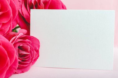 Çiçekler tebrik taklidi yapar. Pembe arka planda pembe güller buketinde tebrik kartı. Metin, çerçeve modeli için yeri olan beyaz boş kart. Bahar festivali çiçek konsepti, hediye kartı