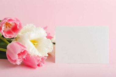 Çiçekler tebrik taklidi yapar. Pembe arka planda pembe lalelerle dolu tebrik kartı. Metin, çerçeve modeli için yeri olan beyaz boş kart. Bahar festivali çiçek konsepti, hediye kartı