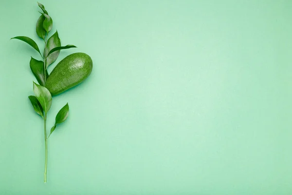Свежий спелый органический зеленый авокадо на росте с листьями на цветном фоне, вид сверху концепции летней еды. Минимальный плоский стиль авокадо цельные фрукты на зеленом фоне мяты с копировальным пространством для текста . — стоковое фото