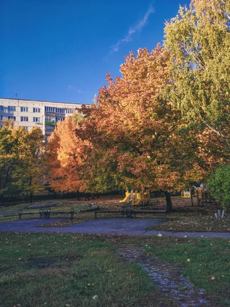Herbstgarten Der Nähe Eines Hauses Bunte Bäume Mit Grünen Gelben — Stockfoto