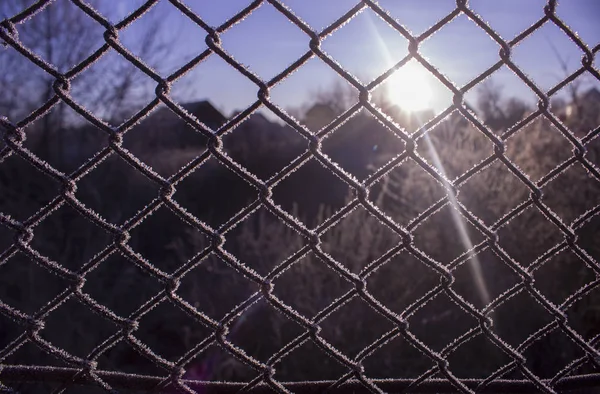 被霜冻覆盖的金属网的栅栏 清晨的阳光照射在结冰的格栅上 在阳光下冻结的金属网后面自由的概念 寒冷的冬日早晨 — 图库照片