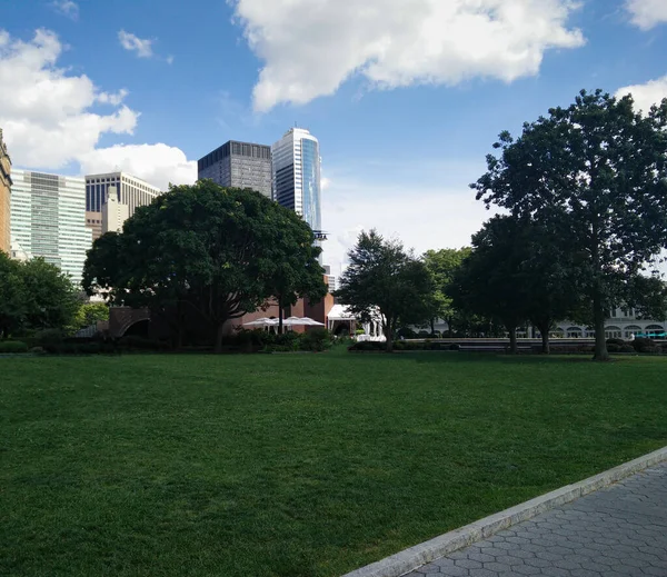 Rasen Schatten Vor Dem Hintergrund Städtischer Gebäude Rasen Mit Bäumen — Stockfoto