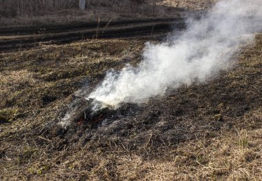 Yolun kenarında söndürülmüş dumanı tüten bir yangın. Yazın kuru otların yanması.