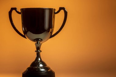 Galibiyet Ödülü - Renkli Arkaplan