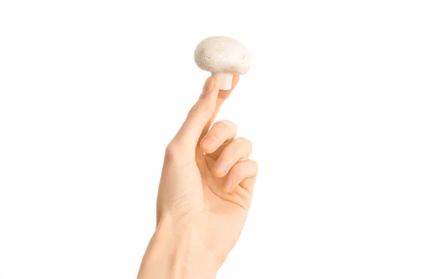Sunda matvanor och kost ämne: mänskliga handen håller en vit champinjon svamp isolerad på en vit bakgrund i studion, första person vy — Stockfoto