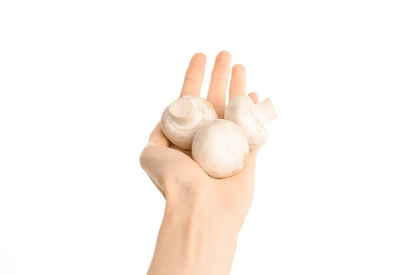 Thema gesunde Ernährung und Ernährung: menschliche Hand hält drei weiße Champignon-Pilze isoliert auf weißem Hintergrund im Studio, Ego-Ansicht — Stockfoto
