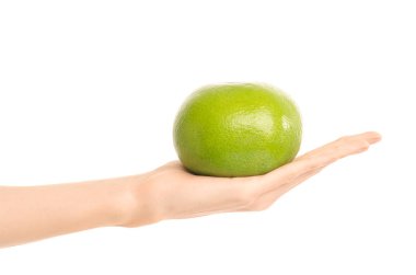 Sağlıklı beslenme ve diyet Konu: beyaz bir arka planda stüdyoda izole bir yeşil tatlım tutan eller