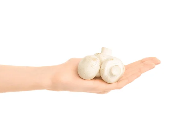 Alimentação saudável e dieta Tópico: Mão humana segurando três cogumelos champignon brancos isolados em um fundo branco no estúdio — Fotografia de Stock