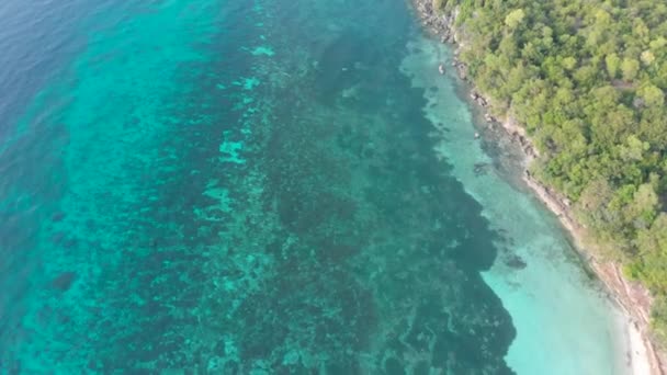 Voo cinematográfico filmado sobre o mar azul e a costa rochosa na borda de uma floresta densa com uma selva — Vídeo de Stock