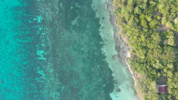 Bovenaanzicht op de blauwe zee en rotsachtige kust aan de rand van een dicht oerwoud met een huis — Stockvideo