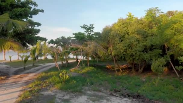 Drone cinematográfico filmado ao pôr do sol sobre uma estrada de campo na selva e vista sobre a Baía com iates e barcos — Vídeo de Stock