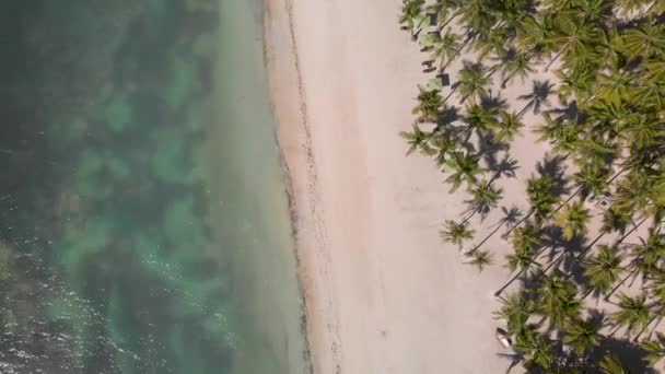 熱帯の島の青い水、ボートやヤシの木の森と熱帯の白い砂の海岸の空中ドローンショット — ストック動画