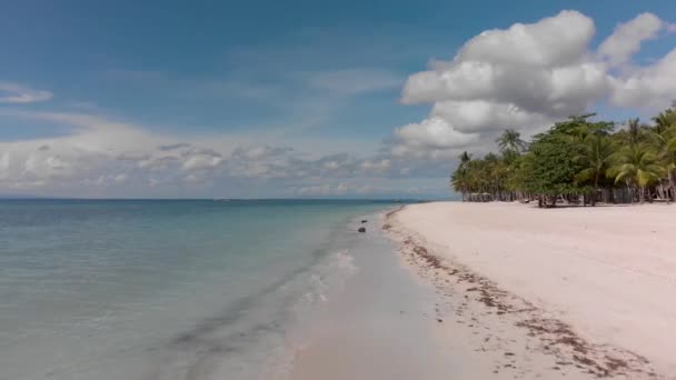 Antenni elokuvallinen drone laukaus tyhjä valkoinen hiekkaranta pulm puita — kuvapankkivideo