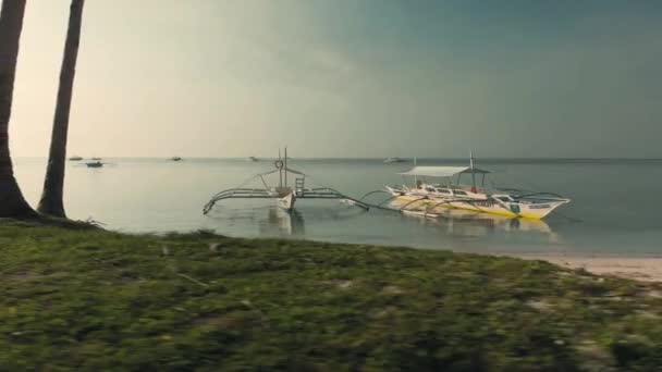 Schnelle Videoaufnahme der Bucht mit Booten und Palmen. Video von einer Drohne, die schnell zwischen Palmen fliegt — Stockvideo