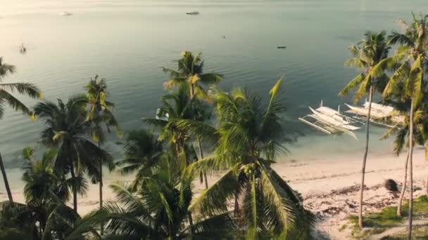 Βίντεο από ένα drone που υψώνεται πάνω από φοίνικες ημέρας με καρύδες αμμώδη παραλία με βάρκες — Αρχείο Βίντεο