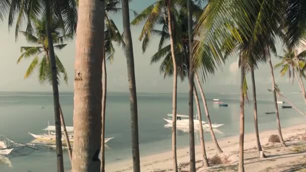 Hermosa vista de la costa con barcos y palmeras — Vídeos de Stock