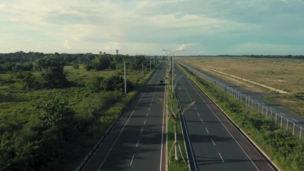 ヤシの木やライトポストと道路上の車に乗る。夏の毎日の車の旅のシネマティックドローンショット — ストック動画