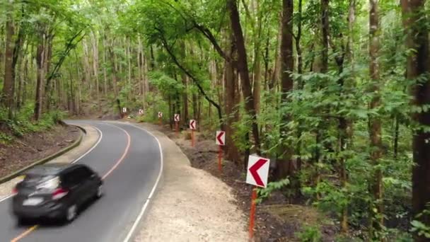 Két szembejövő autó egy keskeny aszfalt úton halad egy sűrű dzsungelerdőben. Ember alkotta erdő, Fülöp-szigetek, Bohol — Stock videók