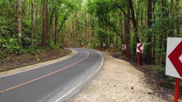 鬱蒼としたジャングルの森の中のアスファルトの空の狭い道路。フィリピンボホールの人工林 — ストック動画