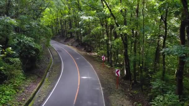 Moto o ciclomotor unidad estrecha carretera de asfalto en un denso bosque selvático. Bosque artificial, Filipinas, Bohol — Vídeos de Stock