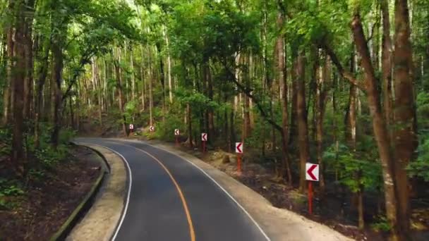 Мотоцикл или мопед ведут узкую асфальтовую дорогу в густом лесу джунглей. Антропогенный лес, Филиппины, Бохол — стоковое видео