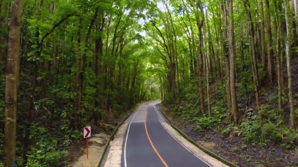 Asfalto vacío camino angosto en un denso bosque selvático. Bosque hecho por el hombre, Filipinas, Bohol — Vídeos de Stock