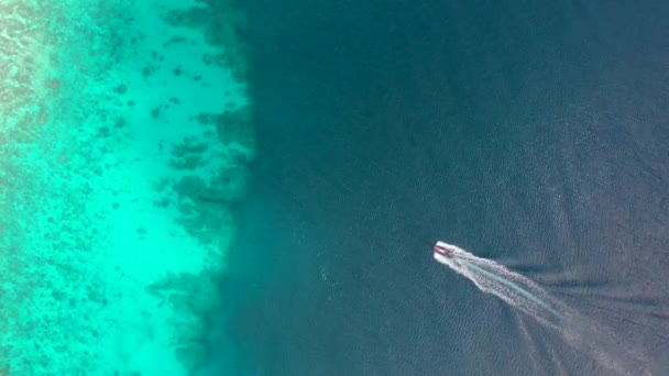 Bateau de vitesse flotte sur la belle mer eau turquoise. Vue aérienne du bateau se précipite à travers la mer bleue . — Video