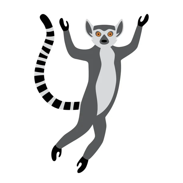 Saltos engraçados de lémure de cauda anelada. Catta de limão exótico. Ilustração vetorial em desenho animado e estilo plano — Vetor de Stock