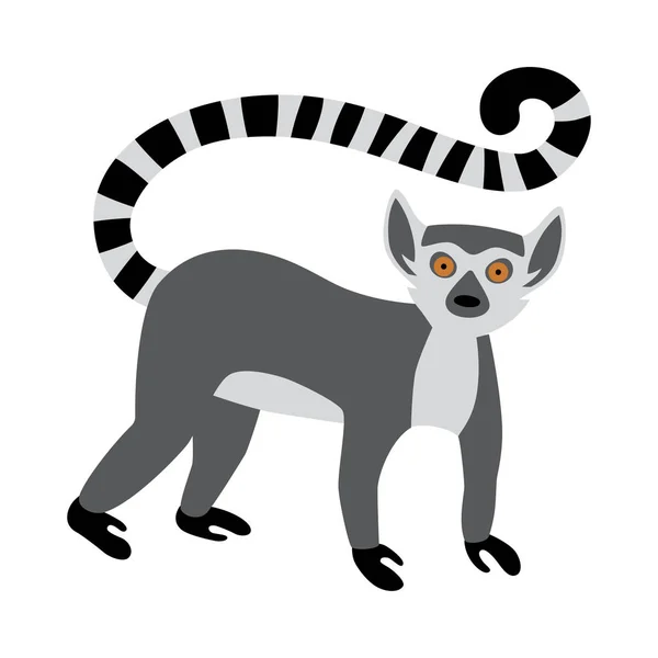 Roztomilý legrační lemur s kroužkovým ocasem. Exotická Lemur catta. Vektorová ilustrace v plochém a kresleném stylu — Stockový vektor