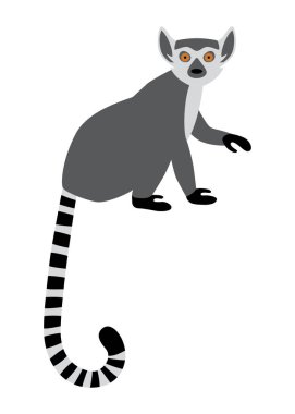 Şirin halka kuyruklu lemur oturuyor. Egzotik Lemur catta. Çizgi film ve düz stilde vektör illüstrasyonu