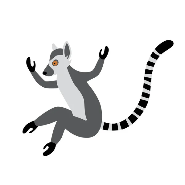 Leuke grappige ringstaartmaki springt. Exotische Lemur catta. Vector illustratie in cartoon en platte stijl — Stockvector