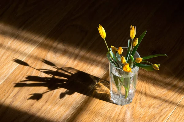 Sarı lale çiçekleri buketi bir bardaktaki ışık demetlerinde, ahşap arka planda. İçerideki çiçeklerin ev yapımı fotoğrafı. Çiçekli fotoğraftaki çapraz geometrik gölgeler. Lazoriki, küçük