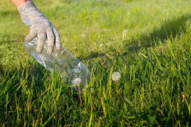 Çöpü temizleyen gönüllü. Eldivenli bir el, açıklıktan plastik şişeleri temizler. Ekoloji. Saf doğa. Ayrı çöp toplama yeri. Plastiği durdur. Geri dönüşüm. Sıfır atık.